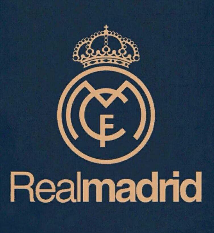 NBA战报：波特33分10板，篮网113-103击败公牛